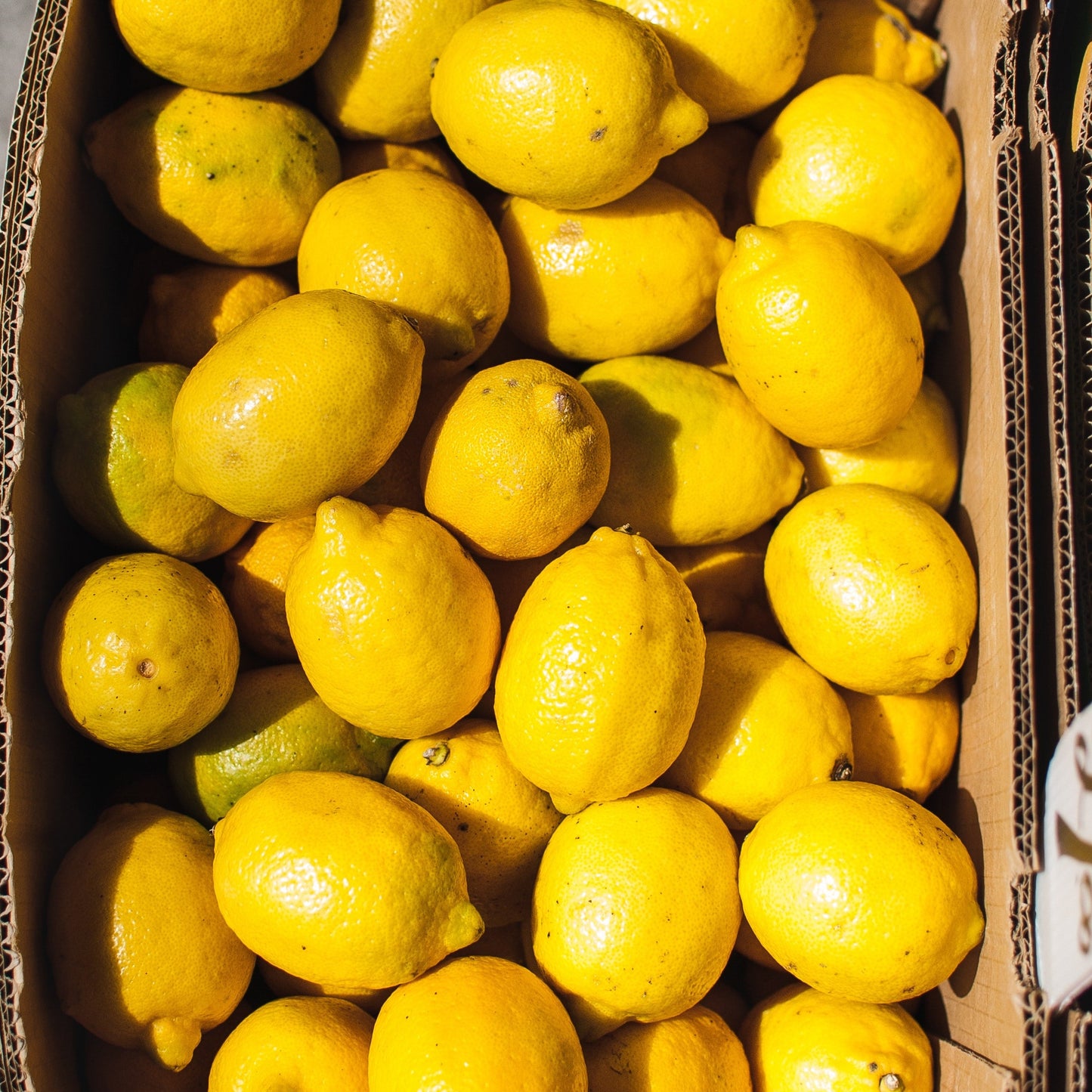 Lemons for production